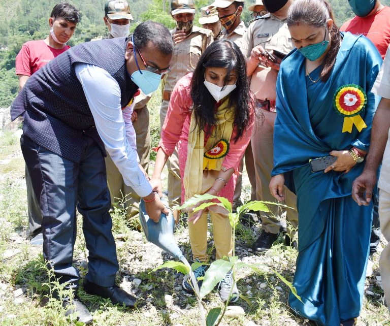 हरेला पर्व बडे उत्साह के साथ मनाया