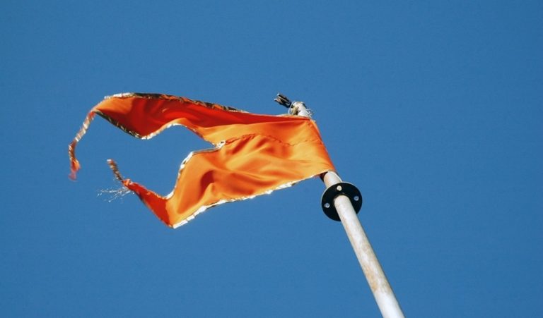 मथुरा पर भाजपा का दावा झूठा, केवल चुनाव में वोट बटोरना चाह रही है पार्टी: हिन्दू महासभा