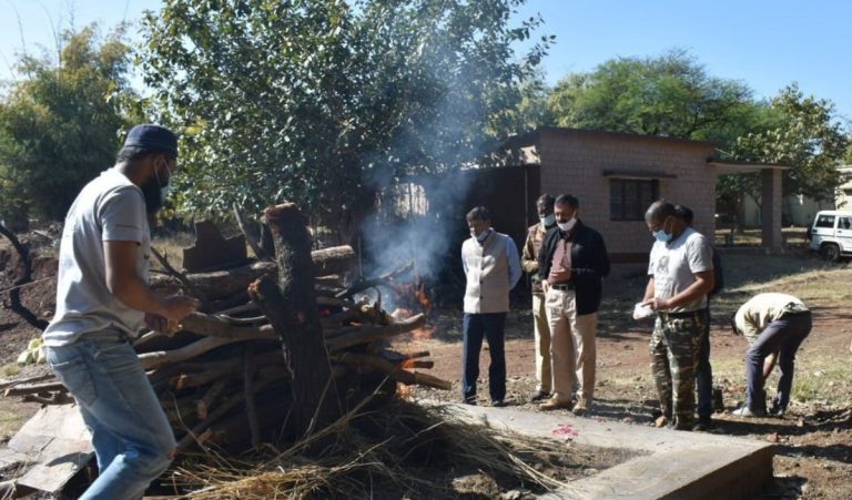 देश की सबसे बुजुर्ग मादा भालू ने भोपाल में ली अंतिम सांस, वैन विहार में सम्मान के साथ हुआ अंतिम संस्कार