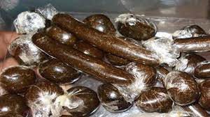 दो किलो चरस के साथ दो गिरफ्तार