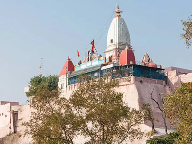 मनसा देवी मंदिर में आने वाले दान के उपयोग को लेकर जांच की मांग