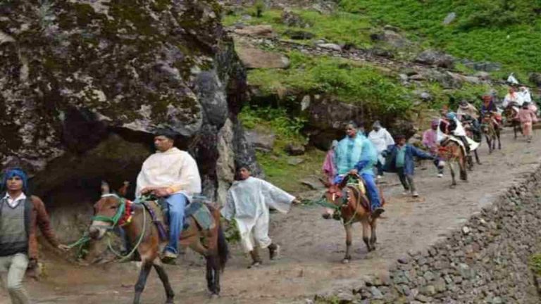 चारधाम यात्रा मार्गों पर पशु क्रुरता पर सरकार सख्त, 30 सदस्यीय म्यूल टास्क फोर्स तैनात