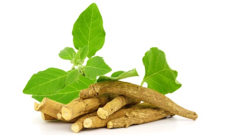 त्वचा की देखभाल के लिए इस्तेमाल करें अश्वगंधा, मिलेंगे ये 5 चमत्कारिक लाभ