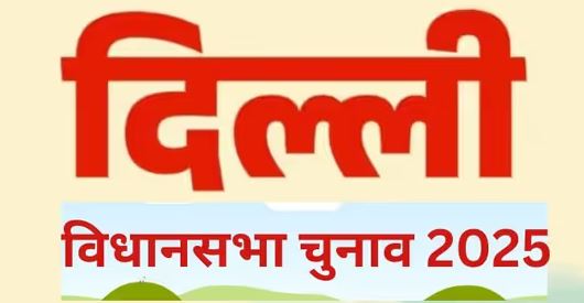 दिल्ली विधानसभा चुनाव – 699 उम्मीदवारों की किस्मत का फैसला करेंगे 1.56 करोड़ मतदाता