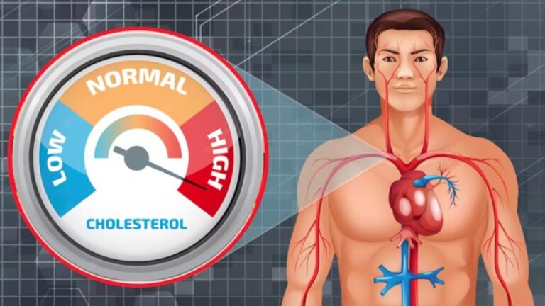 शरीर में क्यों बढ़ता है कोलेस्ट्रॉल का लेवल? आइये जानते हैं क्या कहते हैं स्वास्थ्य विशेषज्ञ
