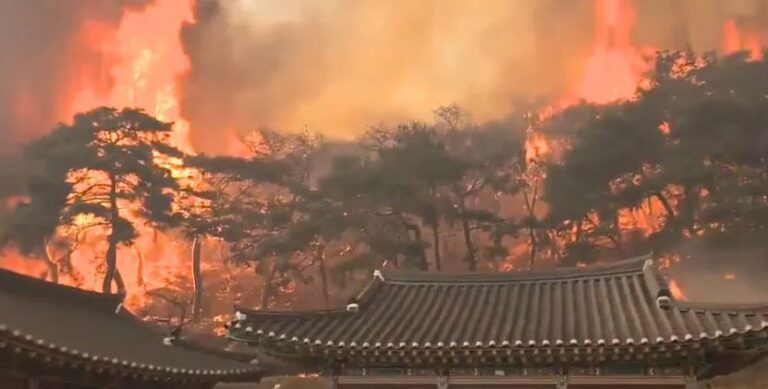 दक्षिण कोरिया में आग से 16 लोगों की हुई मौत, आग बुझाने में लगे 9,000 अग्निशामक