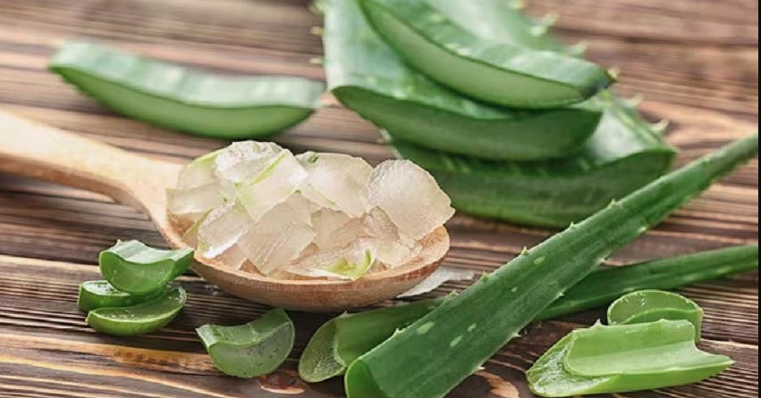 क्या तेज धूप के कारण आपकी त्वचा भी हो रही है बेजान, तो घर पर एलोवेरा से बनाएं फेस मास्क, मिलेगी राहत