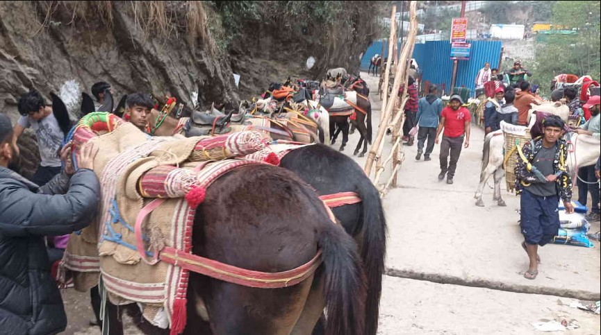 यात्रा मार्ग पर सेवा देंगे 43 सौ से अधिक घोड़ा- खच्चर संचालक