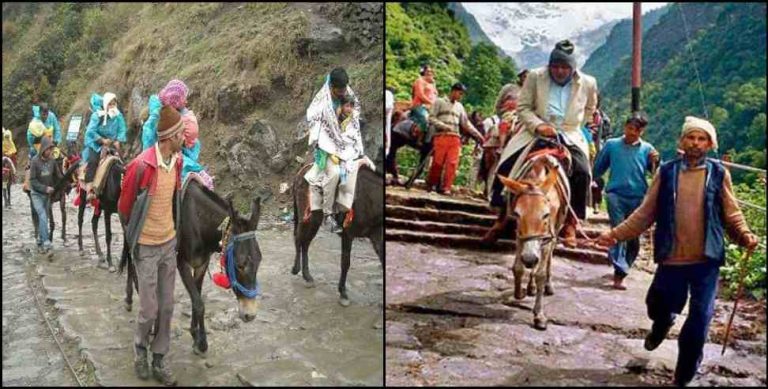 बीमार होने वाले घोड़ा-खच्चरों को किया जाएगा क्वारंटीन, जगह की गई चिह्नित 