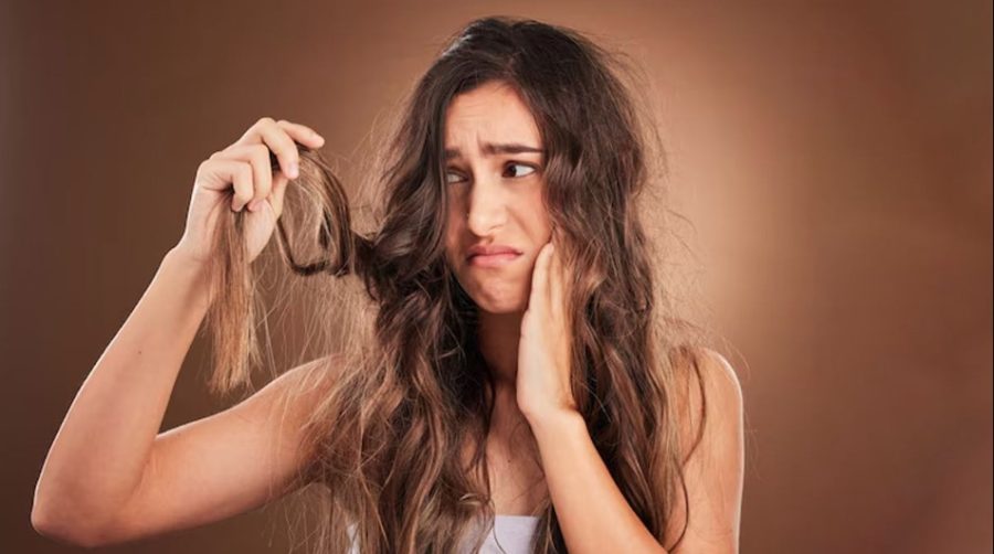 क्या आपके बाल भी हो रहे हैं धूप और गर्मी की वजह से डैमेज, तो इन घरेलू चीजों के इस्तेमाल से करें बालों को प्रोटेक्ट क्या आपके बाल भी हो रहे हैं धूप और गर्मी की वजह से डैमेज, तो इन घरेलू चीजों के इस्तेमाल से करें बालों को प्रोटेक्ट