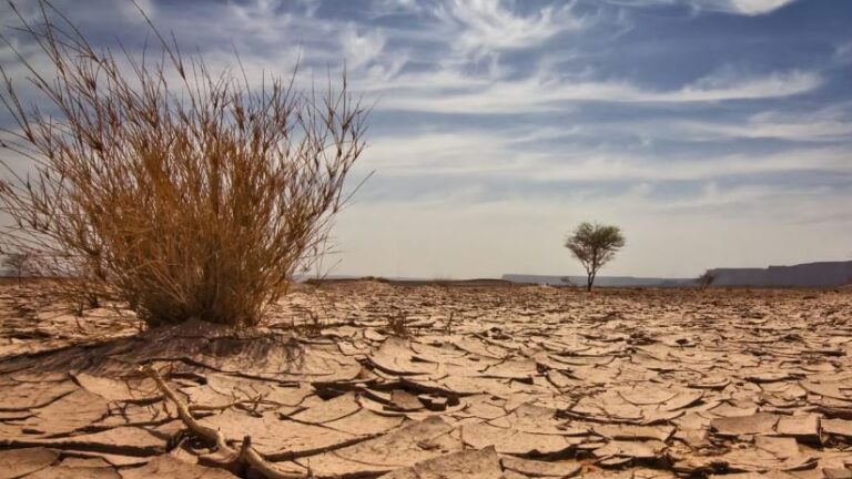 जलवायु परिवर्तन और मौसम के पैटर्न में हुए बदलाव का अब सीधा तापमान पर पड़ेगा असर 