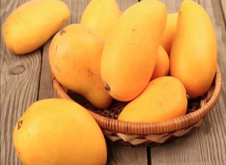 क्या आप भी करते हैं गर्मियों में अधिक आम का सेवन, अगर हां, तो जान लीजिये इसके नुकसान  