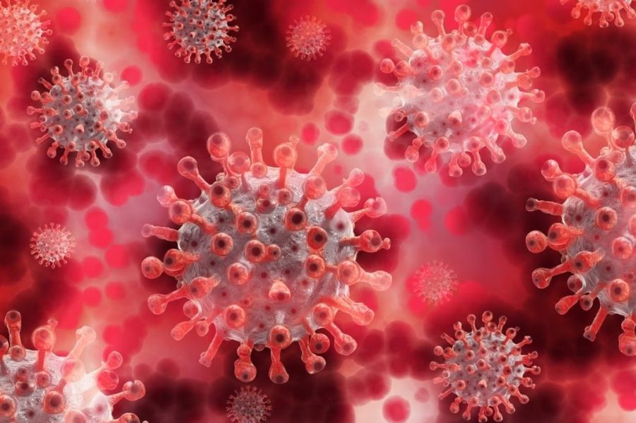 उत्तराखंड में कोरोना के नए वैरिएंट की दस्तक, दो मरीजों में संक्रमण की पुष्टि