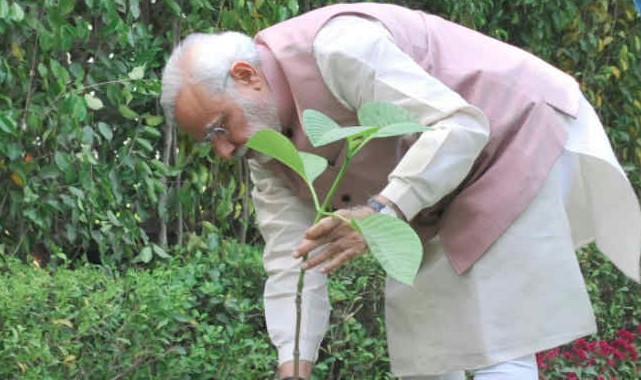 विश्व पर्यावरण दिवस पर पीएम मोदी ने अपने आवास पर लगाया सिंदूर का पौधा